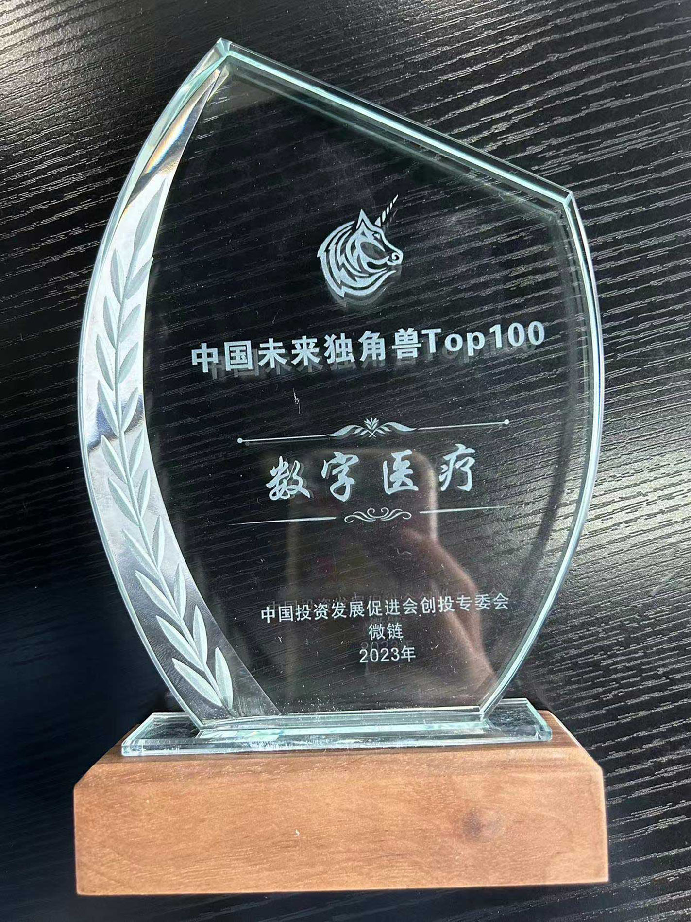 2023中国未来独角兽TOP100