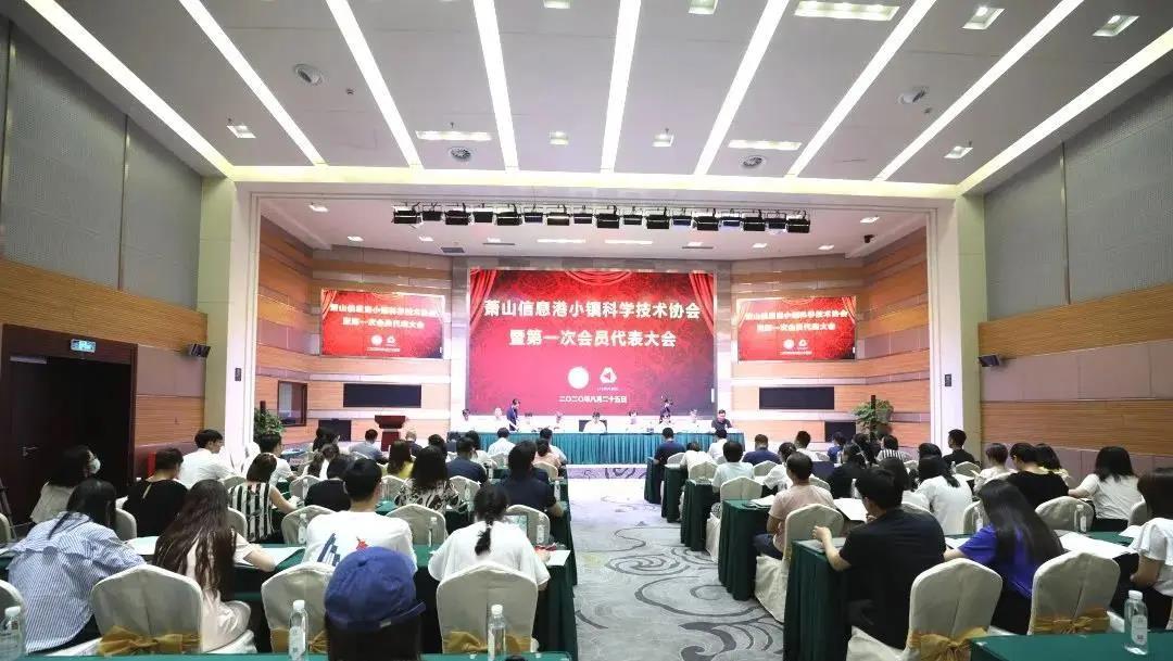 凝聚科技力量、打破西方垄断：杭州湾信息港科学技术协会正式成立